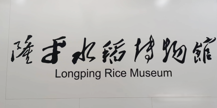長(zhǎng)沙地鐵6號(hào)線 長(zhǎng)沙地鐵6號(hào)線